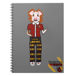 Carnet en pierre de taille 4