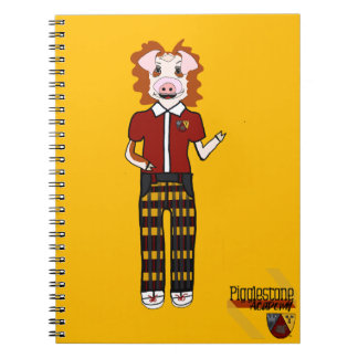 Carnet en pierre de taille 4Y