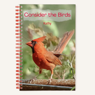 Carnet en spirale cardinale pour la journalisation