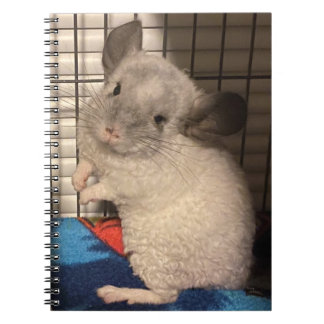 Carnet en spirale Chinchilla
