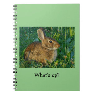 Carnet en spirale de photo de lapin