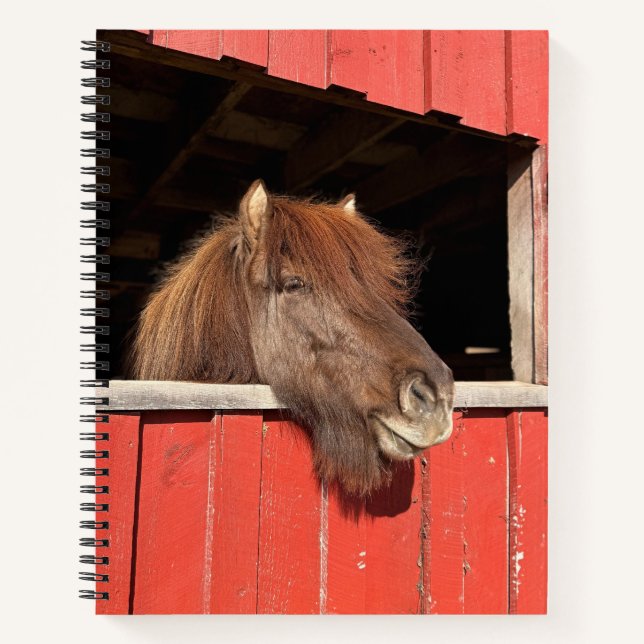Carnet en spirale du cheval islandais (Devant)