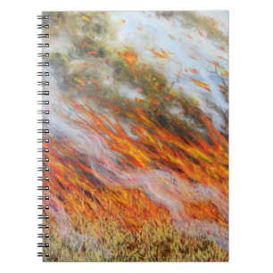 Carnet Enfer 2014 du feu de brousse