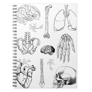 Carnet Ensemble d'illustrations médicales vintage d'anato