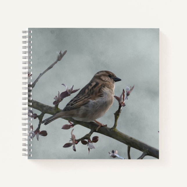 Carnet Épervier sur la photo de branche (Devant)
