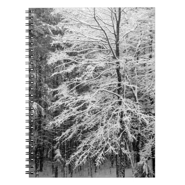 Carnet Érable En Neige (Devant)