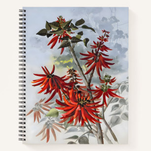 Carnet Erythrina Flower Aquarelle, Peinture Cadeau