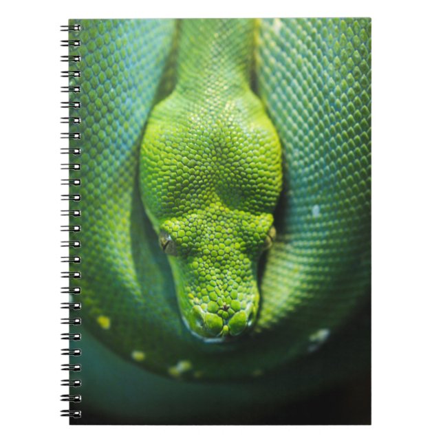 CARNET ESNAKE VERT (Devant)