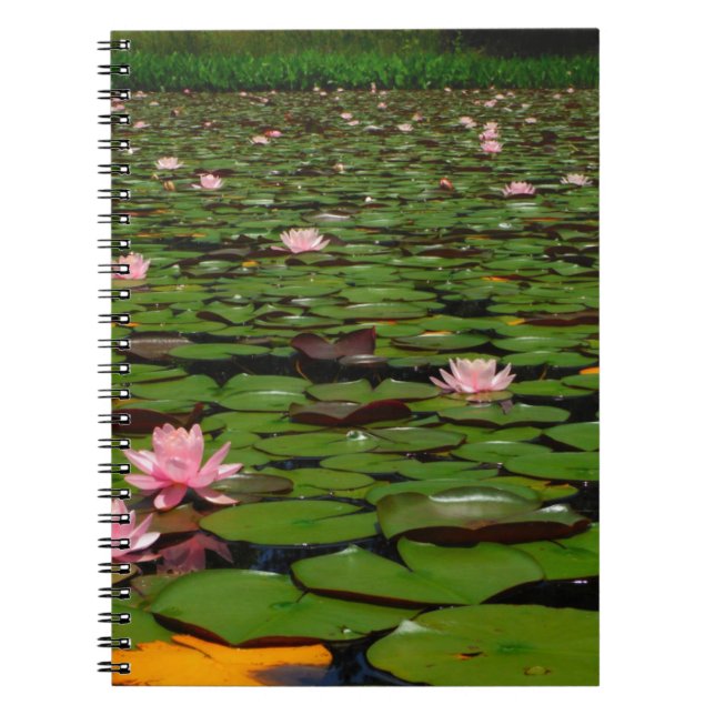 Carnet Etang de fleurs de lys d'eau rose (Devant)