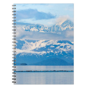 Carnet États-Unis, Alaska, Glacier Bay National Park 7