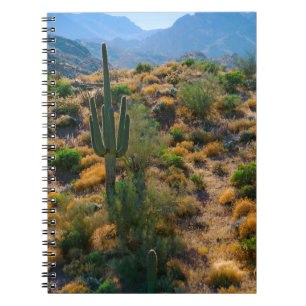Carnet États-Unis, Arizona. Desert View