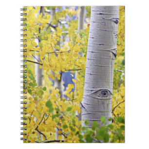 Carnet États-Unis, Colorado, Montagnes Rocheuses. Intime