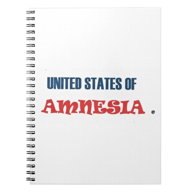 CARNET ÉTATS-UNIS D'AMNESIE (Devant)