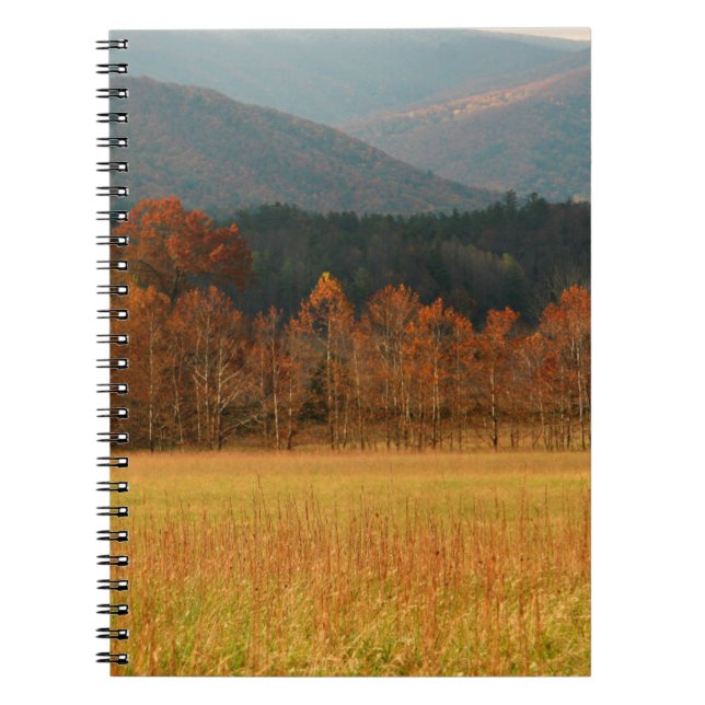 Carnet États-Unis, Tennessee. Cades Cove In Smoky Mountai (Devant)