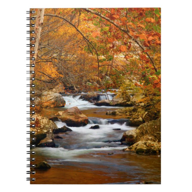 Carnet États-Unis, Tennessee. Ruisseau Rushing Mountain (Devant)
