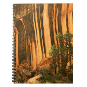 Carnet États-Unis, Utah, Parc national de Capitol Reef