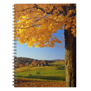 Carnet États-Unis, Vermont. Paysage agricole près de Sout