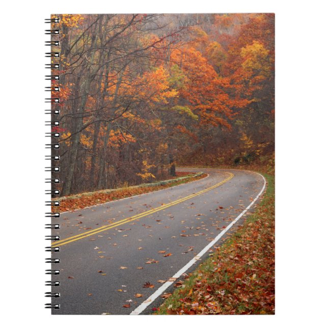 Carnet États-Unis, Virginie, Shenandoah National Park, Sk (Devant)