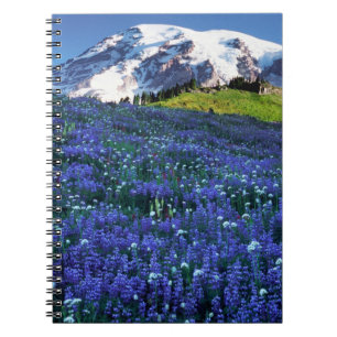 Carnet États-Unis, Washington, Parc national du mont Rain
