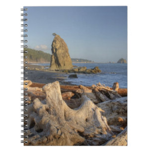 Carnet États-Unis, Washington, Parc national Olympique, R
