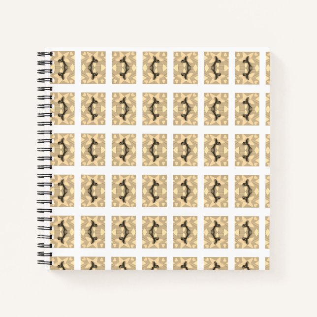 Carnet Étoile sophistiquée ! (Devant)