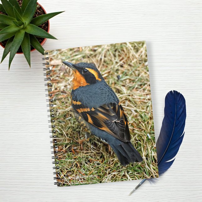 Carnet Étonnante Grive variée sur la pelouse (Varied Thrush on the Grass Journal Cover Photo)