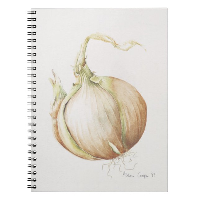 Carnet Étude 1993 d'oignon (Devant)