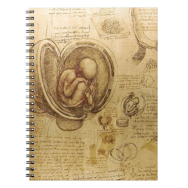 Carnet Étude du foetus de bébé par Leonardo da Vinci (Devant)