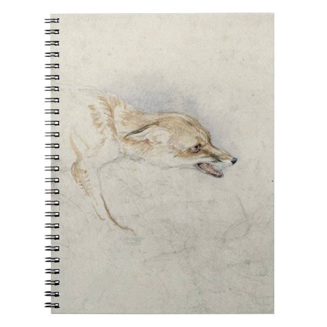 Carnet Étude d'un Fox de acroupissement, faisant face au (Devant)