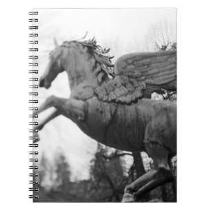 Carnet Europe, Autriche, Salzbourg. Statue de cheval ailé