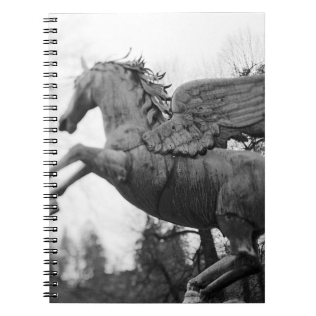 Carnet Europe, Autriche, Salzbourg. statue de cheval ailé (Devant)