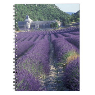 Carnet Europe, France, Provence. Champs de lavande