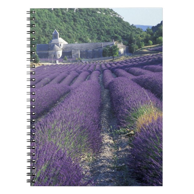 Carnet Europe, France, Provence. Champs de Lavander (Devant)