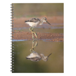 Carnet Évitez la poussette