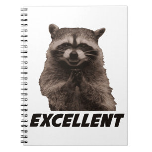 Carnet Excellent Raccoon de lot de mal