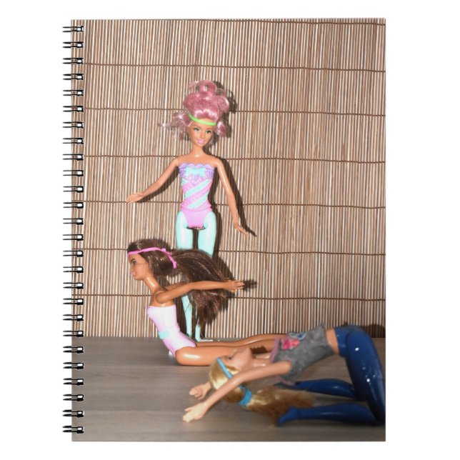 Carnet Exercices De Gymnastique. (Devant)