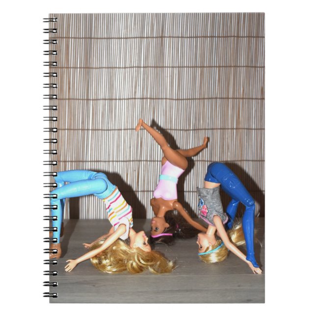 Carnet Exercices De Gymnastique. (Devant)