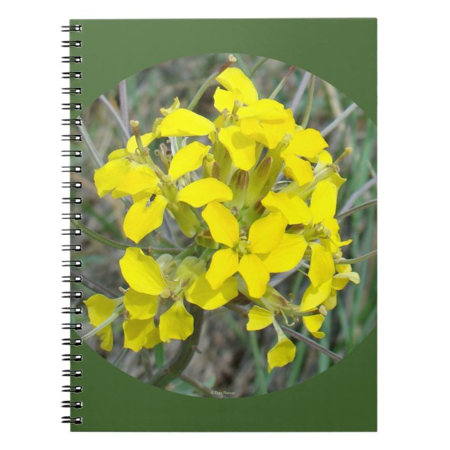 Carnet F33w Fleurs sauvages jaunes (Devant)