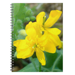 Carnet F44 Fleur sauvage jaune Moutarde sauvage