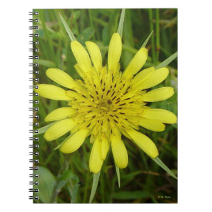Carnet F9 Jaune Salsifis douteux Tragopogon dubius