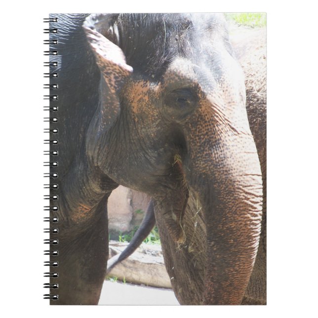 Carnet Face d'éléphant (Devant)