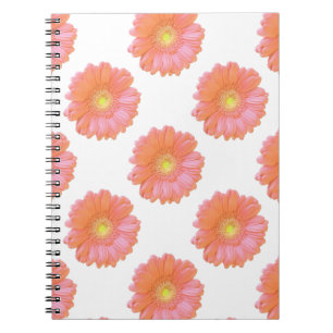 Carnet Faisée de gerbera orange