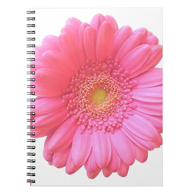 Carnet Faisée de gerbera rose (Devant)
