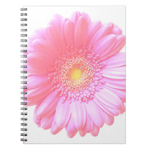 Carnet Faisée de gerbera rose pâle