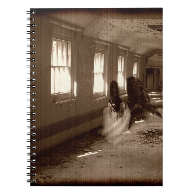 Carnet Falln Asylum Angel (Devant)