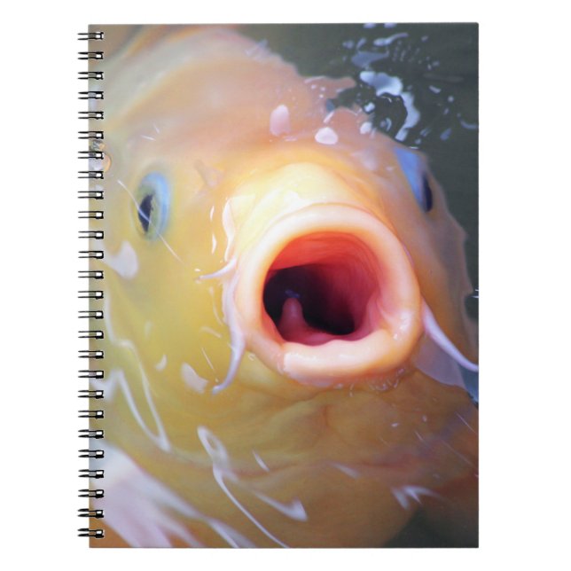 Carnet Falln chantant Ghost Koi (Devant)