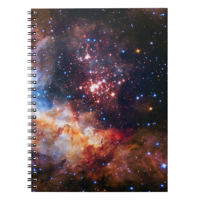 Carnet Falln Westerlund (Devant)