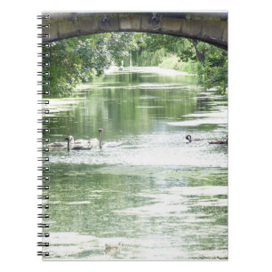 Carnet Famille Swan Sur Rivière