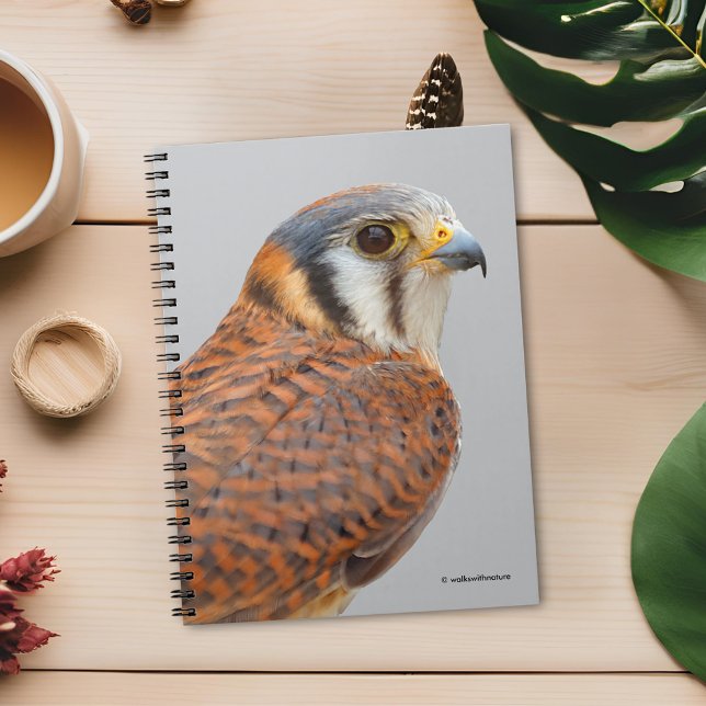 Carnet Faucon étonnant de Kestrel Sparrowhawk américain (Stunning Closeup of an American Kestrel Journal Cover Photo)