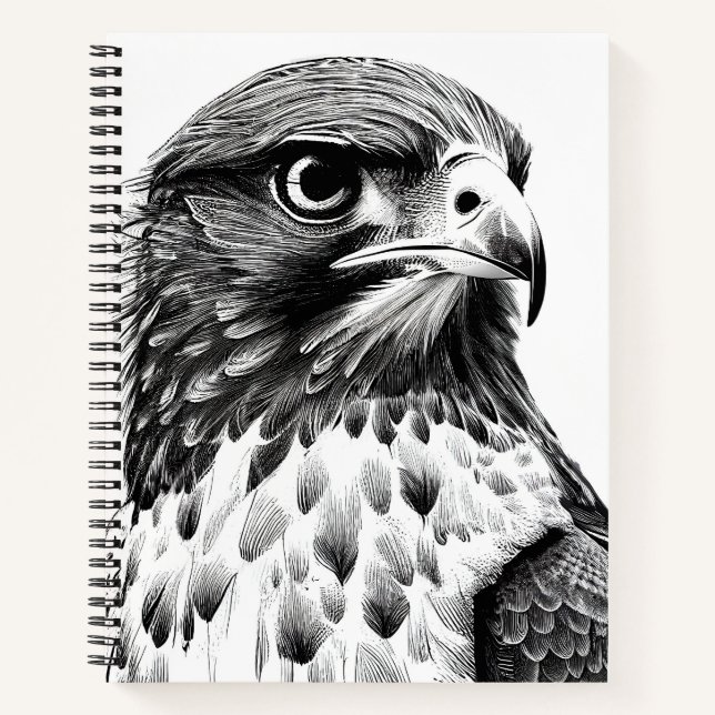 Carnet Faucon Oiseau nature sauvage Illustration animale  (Devant)